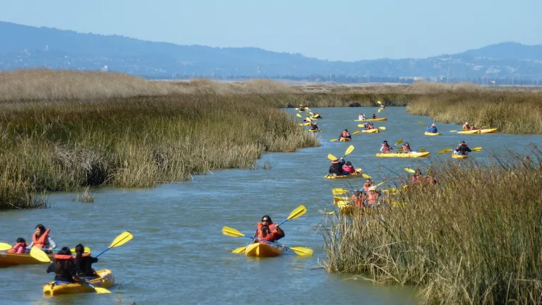 Kayakers enjoy the Alviso Slough in Santa Clara County