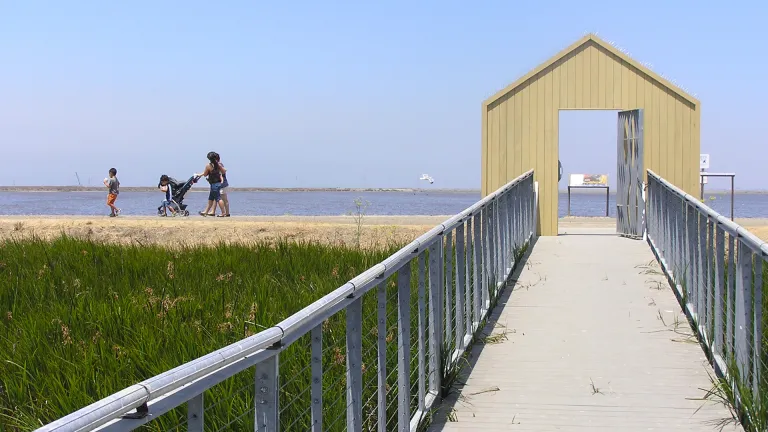 A long boardwalk through high grasses leads to people enjoying the beach at Alviso Marina.