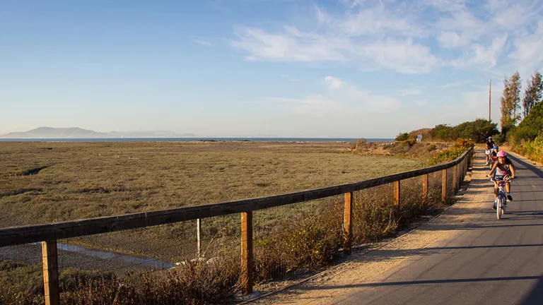 A family riding bicycles on a paved path along marshlands of the Bay Trail.