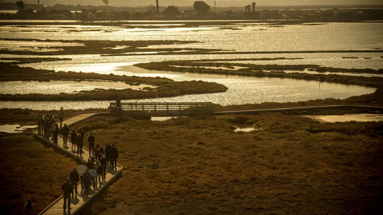 Design teams make their trek on the walkway of the Don Edwards Wildlife Refuge as the sun sets