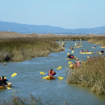 Kayakers enjoy the Alviso Slough in Santa Clara County