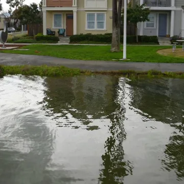 The Grand Marina's footpath in Alameda. The new condos have raised steps up to their front doors (about 1 foot high), but during a high tide with storm surges residents will have to walk through water to get to their front doors.