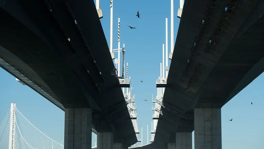cormorants perched under bridge