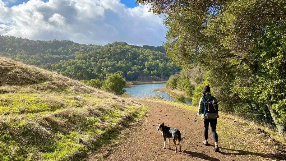 A person walking their dog on a serene path in Briones Hills, with mountains and a lake in the distance.