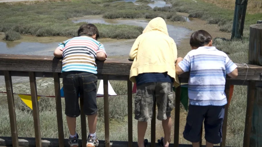 Children looking at protected wetlands as part of the SF Bay Trail