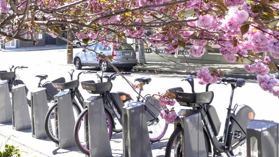 A Bay Wheels bikeshare dock under beautiful pink blossoms of a kwanzan cherry tree.